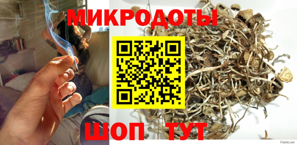 Псилоцибиновые грибы Psilocybine cubensis  Вход с VPN  Новомосковск 